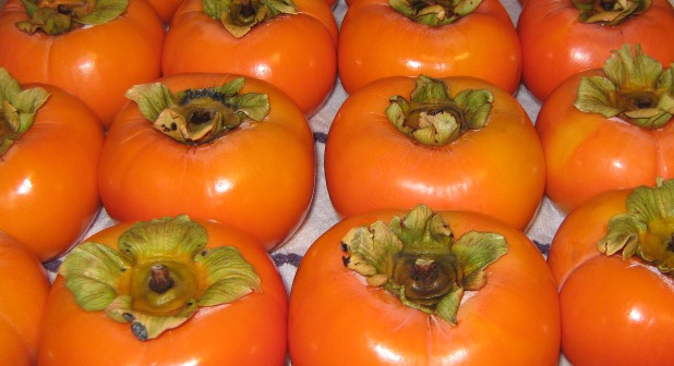 Lots of persimmons