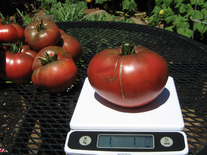 Cherokee Purple tomatoes