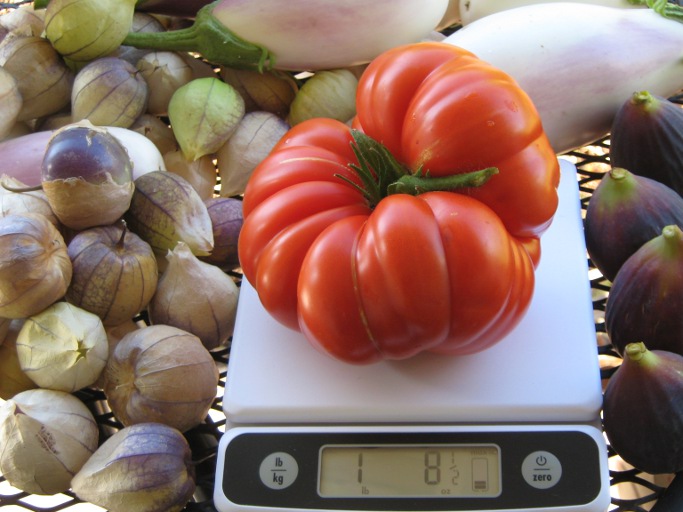 A big tomato, figs, and tomatillos