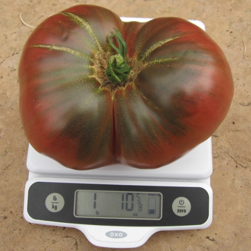Big tomato