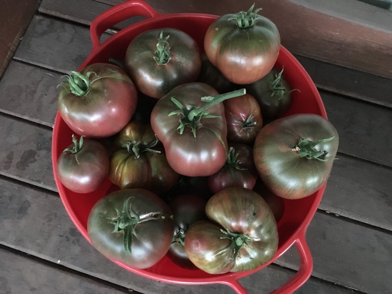 lots of tomatoes